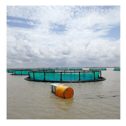 Aquaculture Net