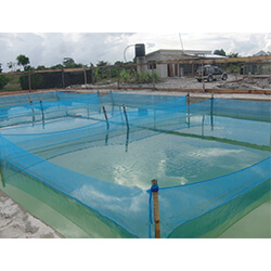 Aquaculture Net